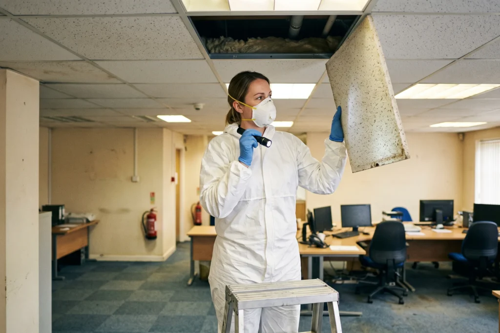 Surveyor inspecting commercial ceiling tiles for asbestos materials, commercial building asbestos survey, HSG264 management survey, asbestos survey commercial buildings